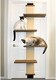 image 6 of Cat Door Climber Scratching Post Platforms Hanger Multi Level Scratcher Scratch