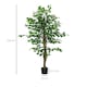 image 5 of HOMCOM Decorative Artificial Plants Ficus in Pot, Fake Plants for Home Indoor Decor, 150cm