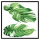 image 2 of Twin botanical leaves (Picture Frame) Grey | XL
