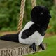 image 5 of Warmies Magpie Plush Microwaveable Weighted Cuddly Toy