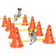 image 1 of PawHut Dog Agility Equipment Set, Four-Piece Adjustable Height Jumping