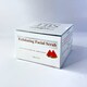image 4 of TBS Luxury Shea Butter & Watermelon Facial Exfoliator 100g