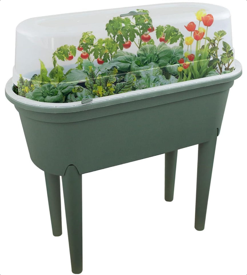 image 1 of Mini Propagator Greenhouse Raised Trug