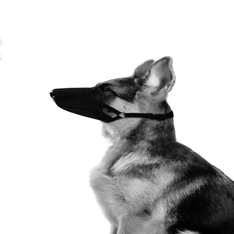image 1 of M-PETS FLEXI Muzzle L