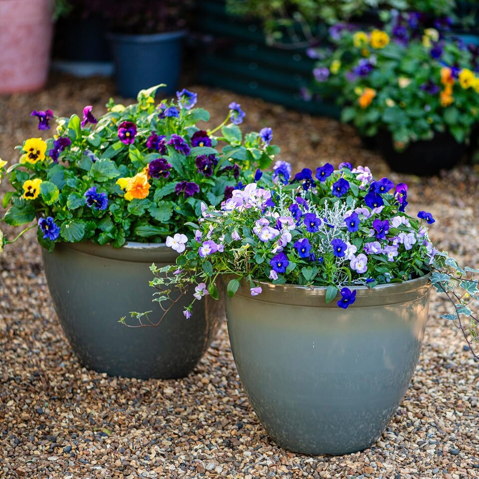 image 1 of Samaria Glazed Effect Vase Planter Olive (D45.5 x H37.5cm) | Blue | 1