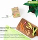 image 4 of Biofuture 10L x 75 Compostable Bin Liners | Home Compostable & Council Approved | Fits 9-11L Kitchen Food Waste Bins | EN13432 Certified & TUV Certified