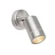image 1 of Palin Outdoor Spotlight Brushed Stainless Steel, Glass IP44, GU10