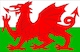 image 7 of 8 X 5ft Welsh National Flags Events Decorationsor | Multi