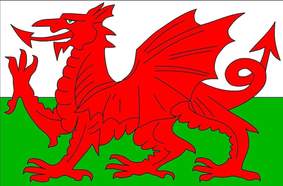 image 1 of 8 X 5ft Welsh National Flags Events Decorationsor | Multi