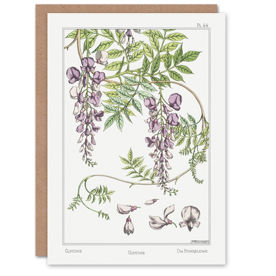 image 1 of Maurice Pillard Verneuil Art Card Wisteria Flower