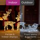 image 6 of Neo 120 Indoor Outdoor LED Light Up Reindeer and Sleigh Christmas Decoration Festive Display with Dual Light Effects Timer Red Scarves Weatherproof Frame 5m Lead Wire