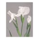 image 1 of White Irises Blooming Flowers Retro Japan Wall Art Print Kazumasa 24x32"
