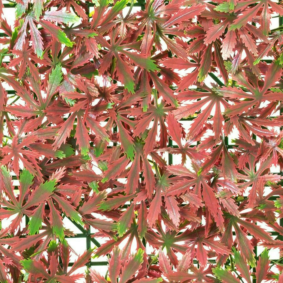 image 1 of Primrose Red Acer Artificial Hedge Garden Patio Panels 50cm x 50cm Set of 2