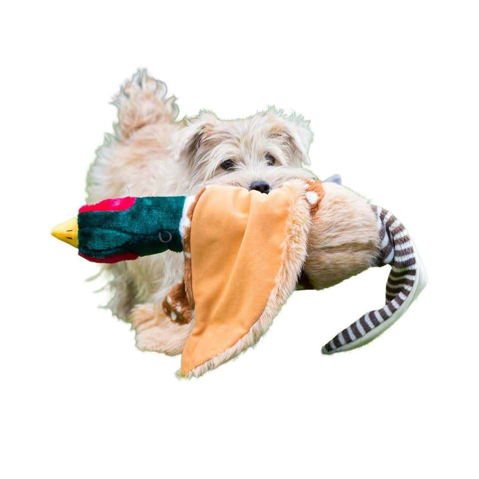 image 1 of House Of Paws Pheasant Christmas Plush Dog Toy - Brown/Green/Pink - One Size