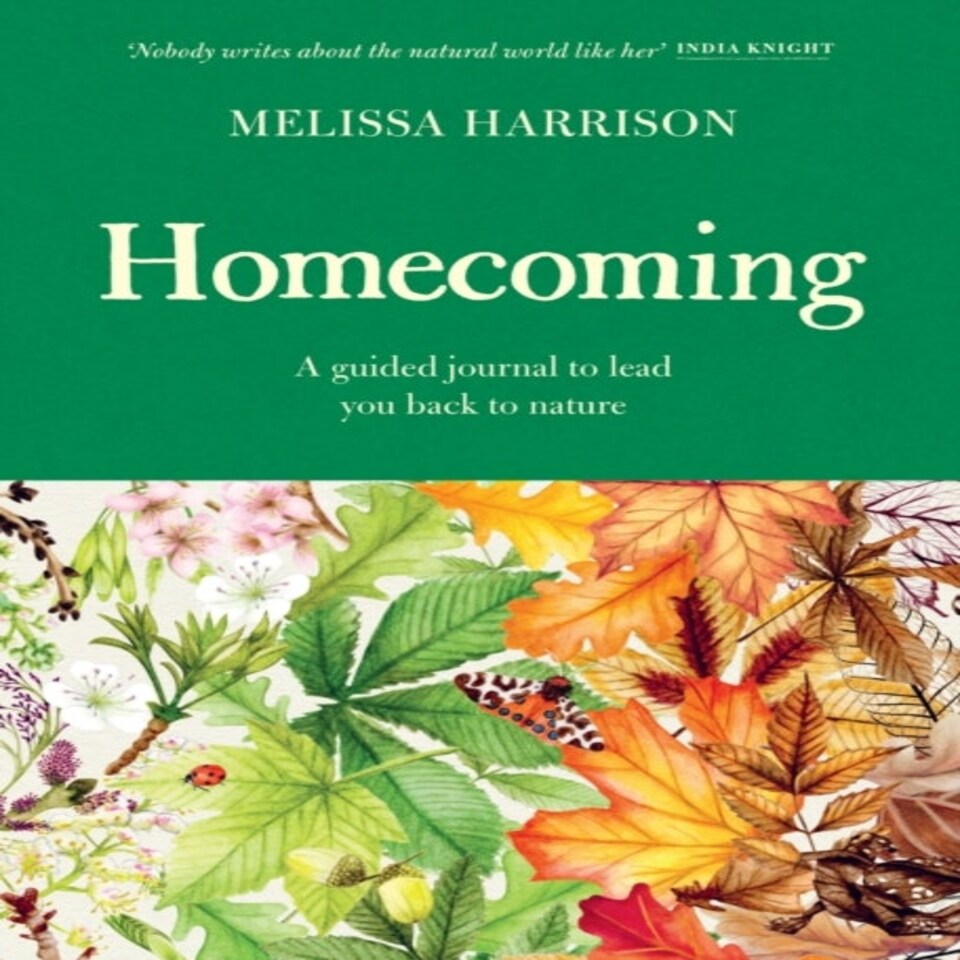 Homecoming Journal