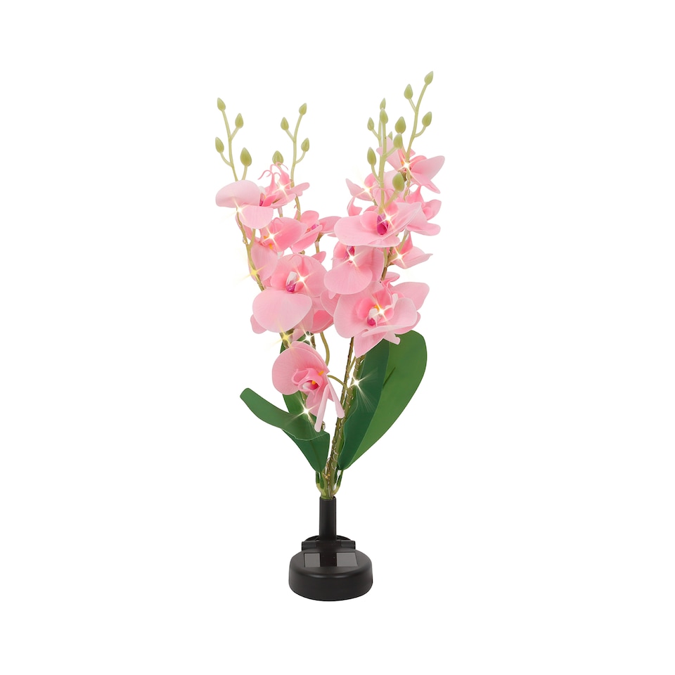 image 1 of Gardenwize Solar Orchid Lights with 30 Warm LED's