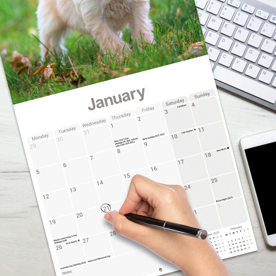 image 1 of Tibetan Terrier 2026 Calendar | Square Wall Calendar | Dog Breed Gift | Plastic Free Packaging | by Avonside Publishing