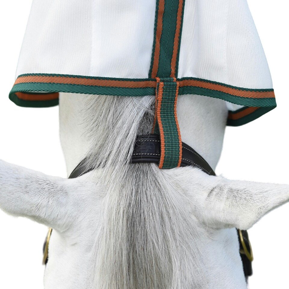 image 1 of Weatherbeeta Comfitec Tyro Combo Neck Horse Fly Rug - White/Green/Burnt Orange - 5´ 3"