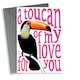 image 1 of Cute Toucan Anniversary Card