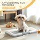 image 5 of PawHut Dog Toilet Tray, Dog Litter Tray for Training Dogs, 63 x 49 x 6cm