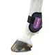 image 1 of ARMA Horse Fetlock Boots - Black/Plum - Cob/Full