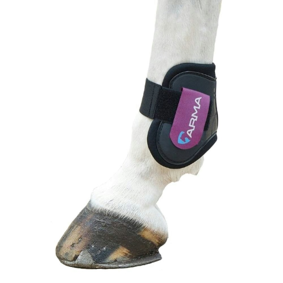 image 1 of ARMA Horse Fetlock Boots - Black/Plum - Cob/Full