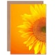 image 1 of Vibrant Sunflower Orange Yellow Flower Photograph Greeting Art Card