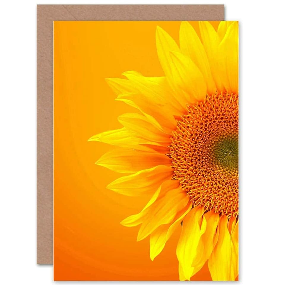 image 1 of Vibrant Sunflower Orange Yellow Flower Photograph Greeting Art Card