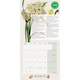image 2 of RHS 2026 MINI CALENDAR
