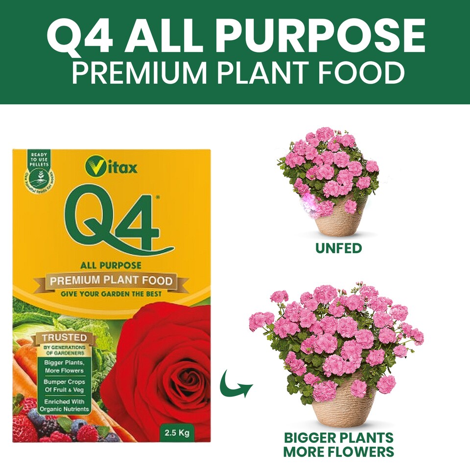image 1 of Vitax Q4 Multipurpose Pelleted Fertilizer Balanced Slow-Release Feed for All Plants 2.5Kg