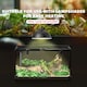 image 8 of PawHut Glass Reptile Terrarium Habitats for Lizards, Frogs, Snake 50 x 30 x 25cm
