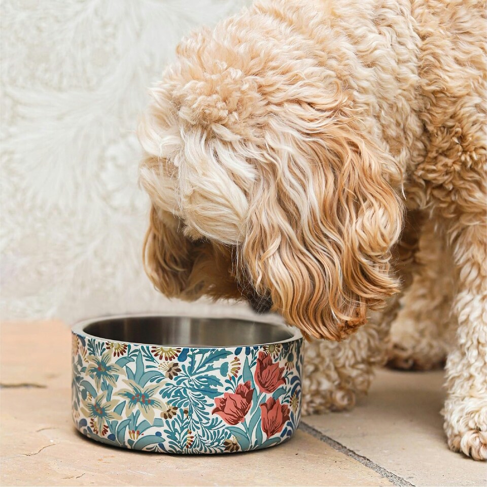 image 1 of Morris & Co Stainless Steel Dog Slow Feeder Bowl - Bower Berry Blue