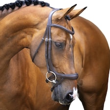 Velociti Lusso Curved Flash Leather Ergonomic Horse Bridle - Havana - X Full