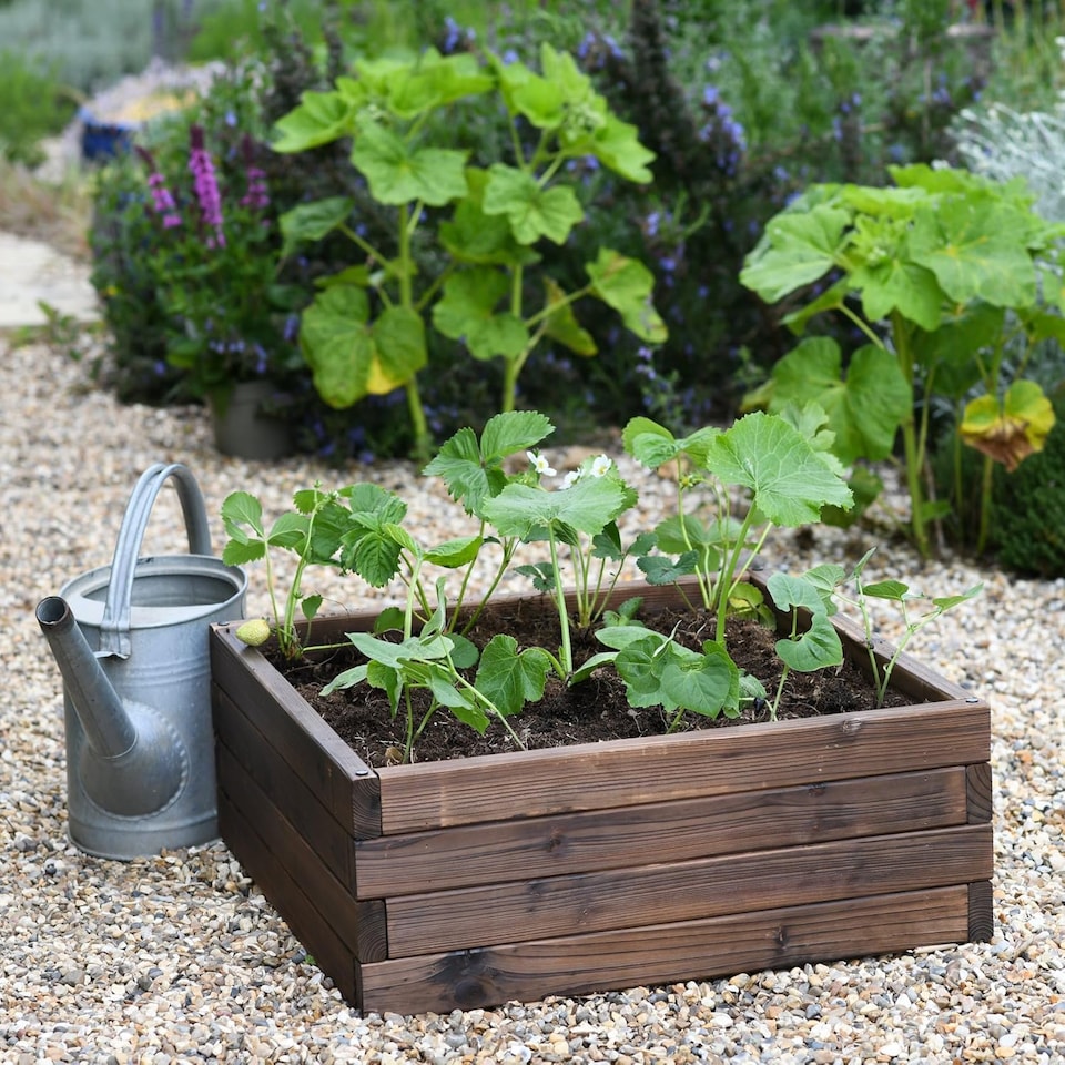 image 1 of Wooden Raised Garden Planter Treated Fir Wood Outdoor Flower Trough Herb Vegetable Bed (Small 60x60cm) | Brown