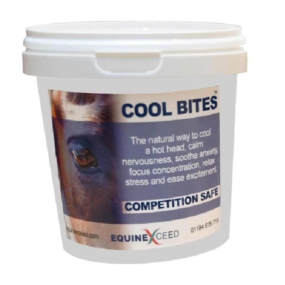 Equine Exceed Cool Bites Horse Treats | Multi | May Vary | 10 Bites | 1
