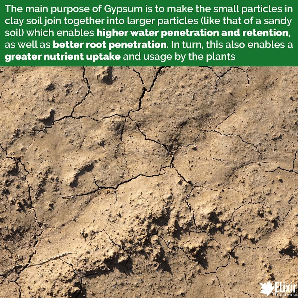 image 1 of Elixir Gardens Gypsum Fertiliser Calcium Sulphate x3kg Bag