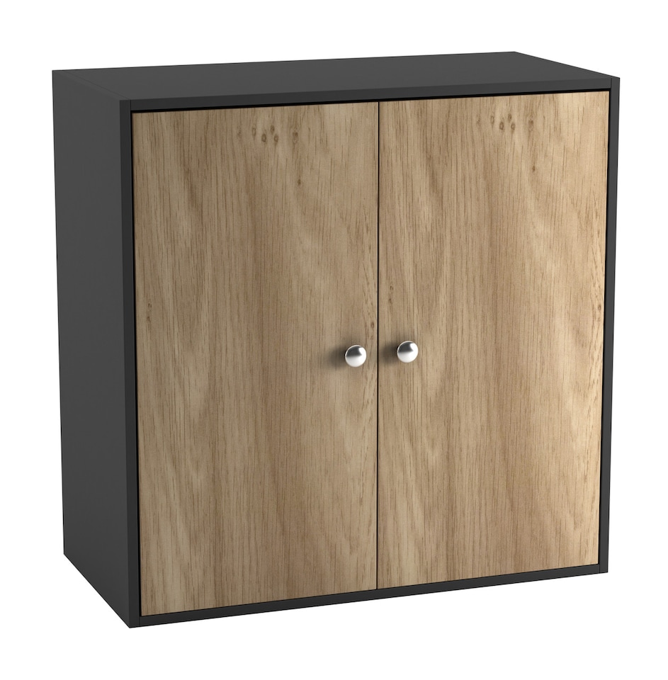 image 1 of Black 2-Tier 2-Door Wooden Cabinet | Black | 0 x 0 x 0 | 1