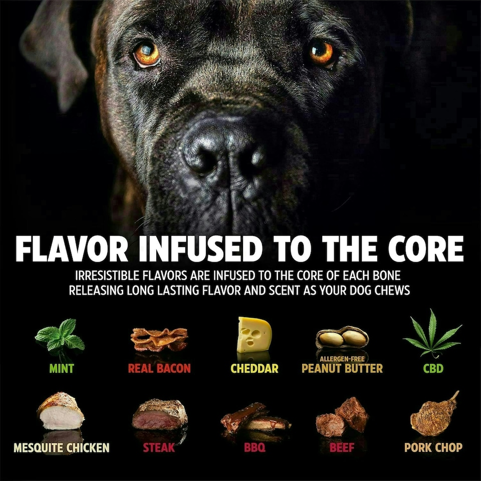 image 1 of Pet Qwerks Dinosaur BarkBone - Wood Dog Bone for Moderate Chewers - Peanut Butter Flavor - 9.75"