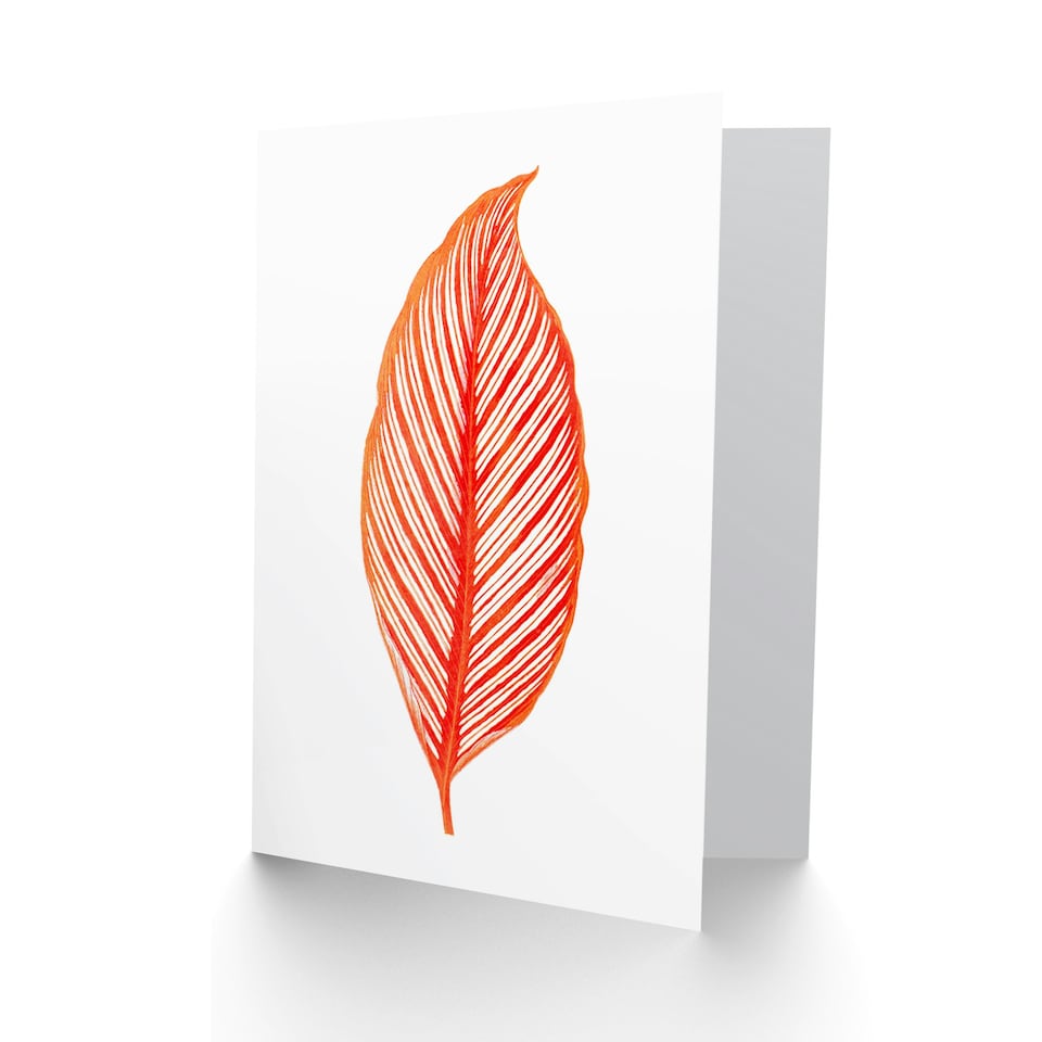 image 1 of Botanics Red Orange Stripes Just To Say Blank Art Card