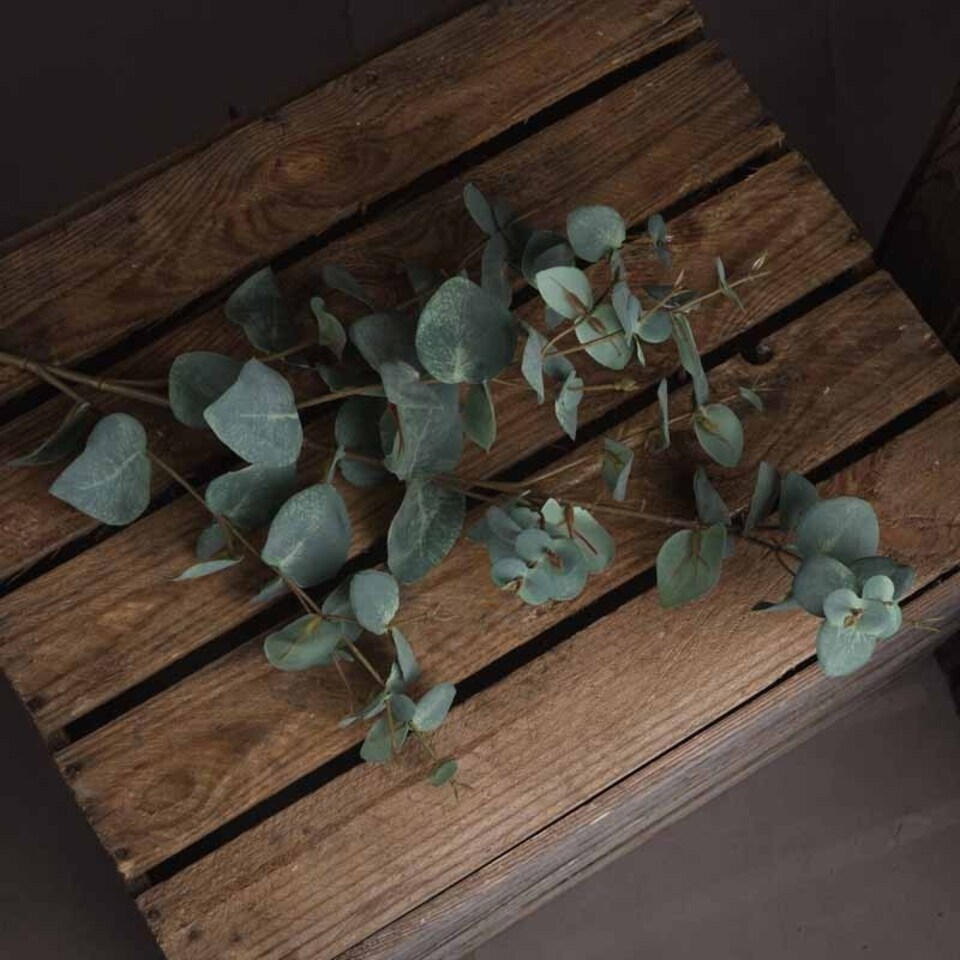 image 1 of Variegated Eucalyptus Artificial Plant - Fabric/Plastic - L27 x W15 x H98 cm - Green