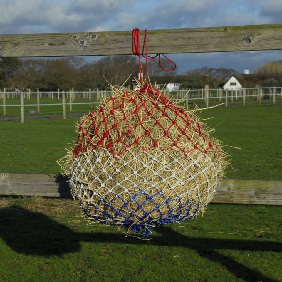 Rhinegold Monarch Small Hole Haynet Blue | Size: 36 Inch
Colour: Red/White/Blue