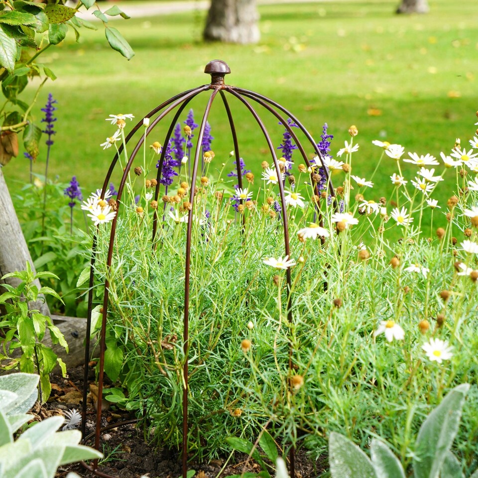 image 1 of Outdoor Plant Support