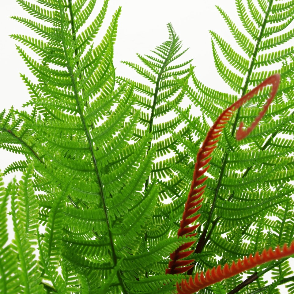 image 1 of 60cm Artificial Bushy Dixie Wood Fern Dark Green Plant