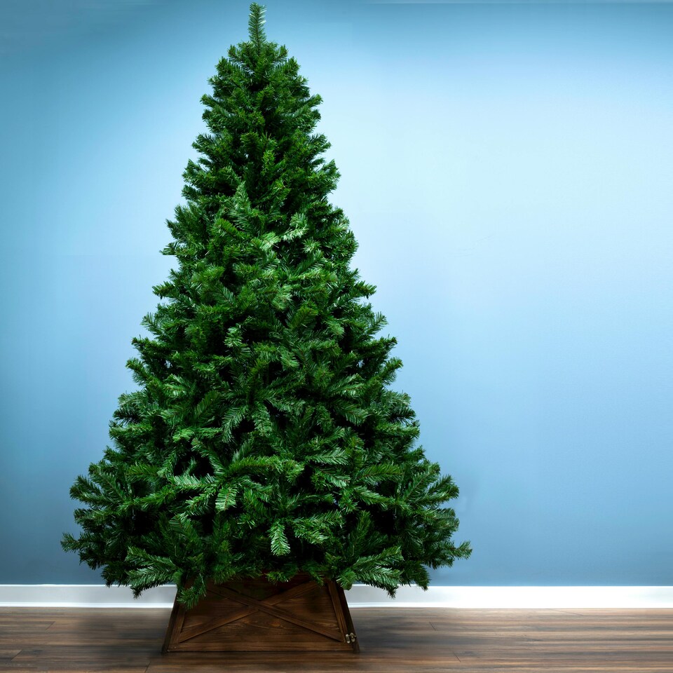 image 1 of Christmas Tree World  2.9m Vanda Verde Fir Christmas Tree