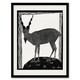 image 1 of Samuel J De Mesquita Framed Wall Art Print Stylised Markhor Goat Home Décor