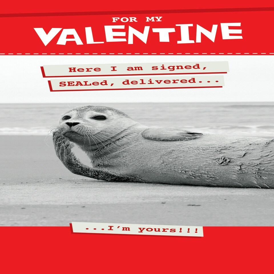 image 1 of Here I Am Signed, SEALed... - Funny Valentine's Day Card