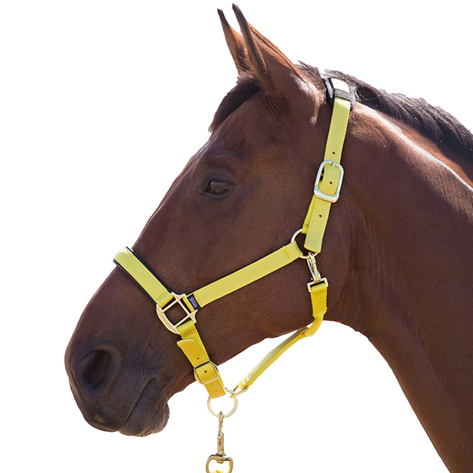 Shires Topaz Nylon Horse Headcollar - Yellow - Full