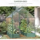 image 9 of Outsunny Walk-in Greenhouse Garden Polycarbonate Aluminium w Smart Window 6x6ft