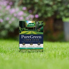 Westland PureGreen Lawn Seed