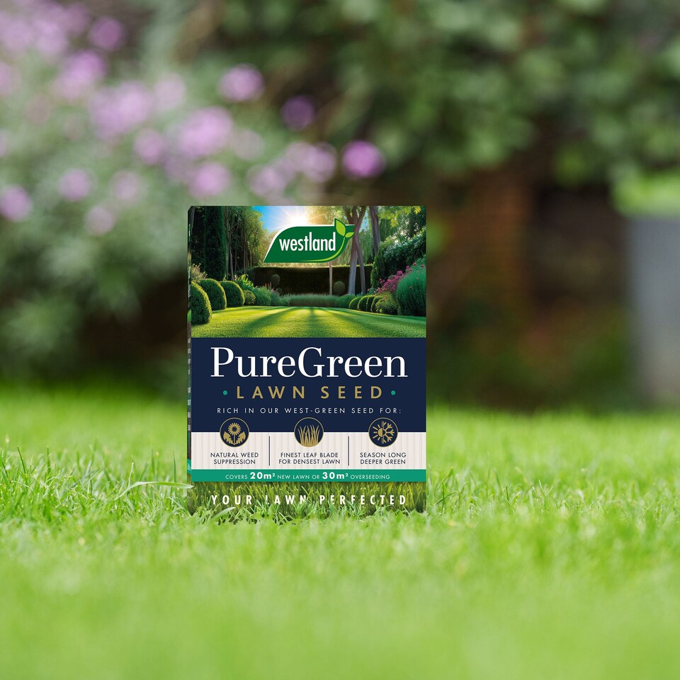 image 1 of Westland PureGreen Lawn Seed